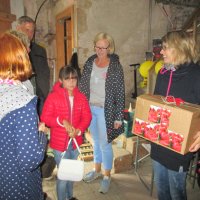 Picknickkonzert 19.08.2017